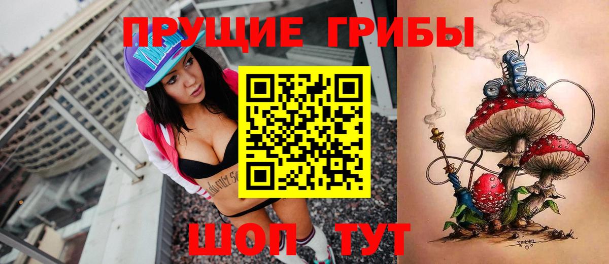 даркнет сайт  Вход с VPN  Михайловск  Галлюциногенные грибы мицелий 